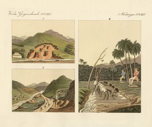 Ädelstensgruvorna i Brasilien (färgad gravyr) av German School