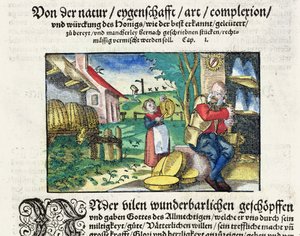 Den helande och terapeutiska användningen av honung i medicin, illustration från en tysk avhandling om läkemedel publicerad i Strasbourg 1573 (färgat träsnitt) av German School