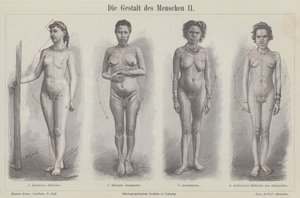 Människofiguren (gravyr) av German School
