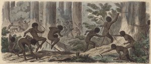 Två stammar av australiensiska aboriginer slåss (färgad gravyr) av German School