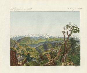 Två vyer av Himalaya (färgad gravyr) av German School