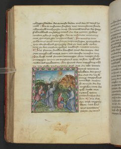 Ulrich von Pottenstein, The Book of Natural Wisdom, Egerton MS 1121 f.114v, c.1430 (bläck & färg på pergament) av German School