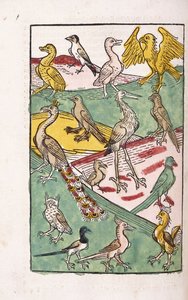 Olika fågelarter i ett landskap, 1499 av German School