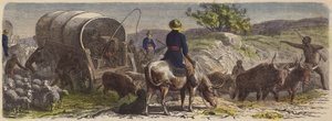Vagnståg i Sydafrika (färgad gravyr) av German School