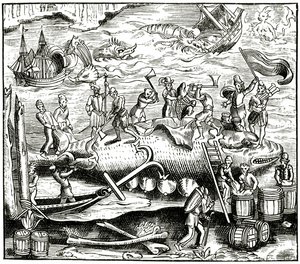 Valfiske, efter ett träsnitt i Cosmographie Universelle of Munster, publicerad 1552 av German School