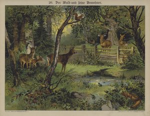 Vilda djur (färg litho) av German School