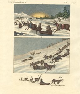 Vinterresor i Lappland (färgad gravyr) av German School
