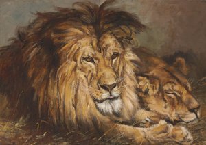Skiss för "Lion and Lioness Resting", 1899 av Geza Vastagh