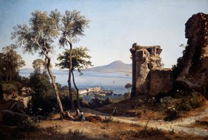 Utsikt över Castellammare di Stabia (olja på duk)