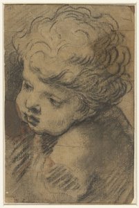 Chef för en putto av Giacomo Cavedone (attributed to)