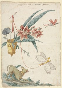 Blomsterdekoration med hund och insekter