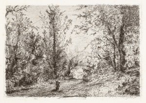 Skog vid Lago Maggiore [Skog vid Lago Maggiore] av Giberto Borromeo