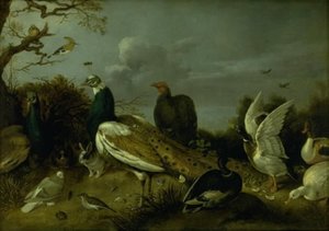 Påfåglar, ankor och andra djur av Gijsbert Gillisz. de Hondecoeter