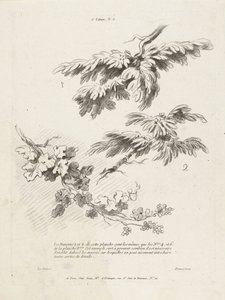 Studie av tre grenar med löv 1er Cahier de paysage (serietitel) av Gilles Demarteau