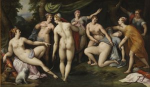 Diana upptäcker Callistos graviditet av Gillis Coignet
