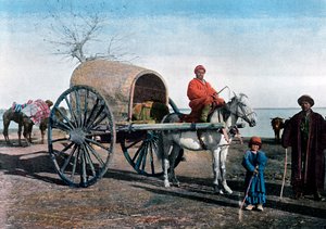 Bukhara vagn, Uzbekistan, c1890