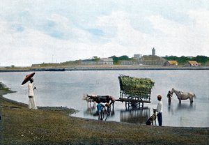 Colombo, Ceylon, c1890