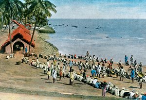 Gemensam bymåltid, Andaman- och Nicobaröarna, Indiska oceanen, c1890