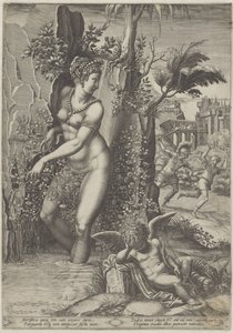 Venus och rosen av Giorgio Ghisi