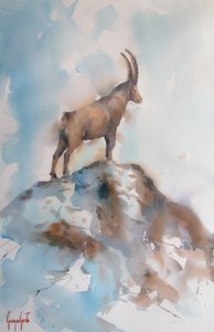 Den majestätiska alpstenbocken av Giorgio Gosti