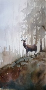 Hjort i den dimmiga skogen