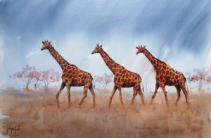 Safari-girafftrion av Giorgio Gosti