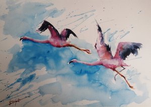 Färgsprakande flamingoflyg av Giorgio Gosti
