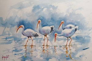 Reflektioner av vit ibis av Giorgio Gosti