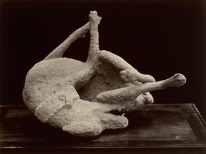 Dog, Pompeji, ca 1870 (albumin silvertryck från glasnegativ)