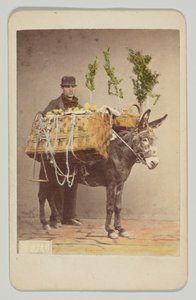 [Napolitansk folklivsscen] av Giorgio Sommer