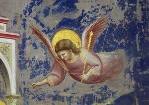 Ängel, från Kristi framställning i templet, ca 1305 (fresco) (detalj av 65195)
