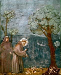 Avsnitt av Saint Francois av Assisis liv (San Francesco): "" Fåglarnas förutsägelse""" Fresk av Giotto (Ambrogio di Bondone)