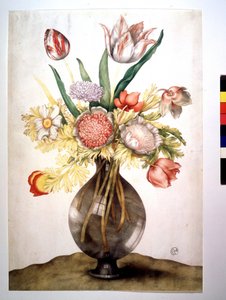 Vallmo, tulpaner och pion. Olja på duk av Giovanna GARZONI av Giovanna Garzoni