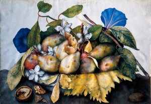 Tallrik med plommon, jasmin och nötter Målning på pergament av Giovanna Garzoni (1600-1670) av Giovanna Garzoni