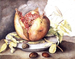 Granatäpple med kastanjer