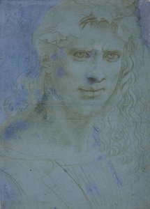 Byst av unga krönt med taggar och vinskott, ca. 1495 (metallspets på blått förberett papper) av Giovanni Antonio Boltraffio