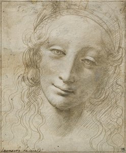 Chef för en kvinna av Giovanni Antonio Boltraffio