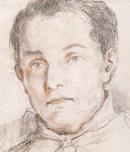 Porträtt av en ung man, av Giovanni Antonio Burrini or Burino