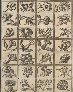 Exempel på recammi, sidan 10 verso, 1530. av Giovanni Antonio Tagliente