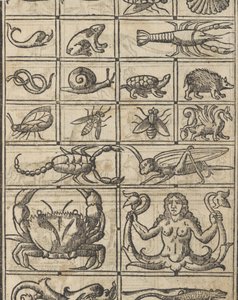 Exempel på recammi, sidan 11 recto, 1530. av Giovanni Antonio Tagliente