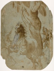 Omvandling av St. Paul (recto); Man sedd bakifrån (verso) av Giovanni Antonio da Pordenone