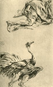 En löpande struts, 1752-1753, 1928 av Giovanni Battista Tiepolo