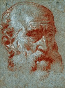 Chef för en venetiansk patricier, Three Quarter Face, av Giovanni Battista Tiepolo
