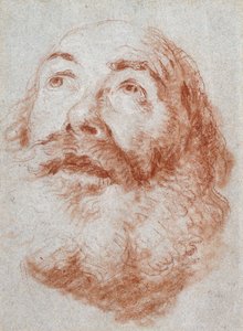 Huvudet på en gammal man tittar upp, av Giovanni Battista Tiepolo