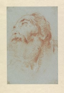 Huvudet av en gammal man av Giovanni Battista Tiepolo