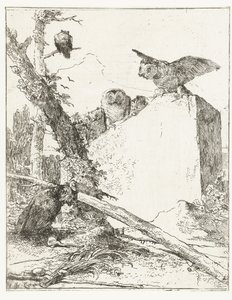 Titeltryck för Scherzi di fantasia med ugglor nära en sten Scherzi di fantasia (serietitel) av Giovanni Battista Tiepolo