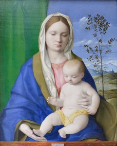 Madonna med barn, ca 1500 (olja på pannå) av Giovanni Bellini