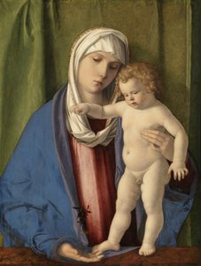 Virgin and Child, ca 1488-90 (olja på panel) av Giovanni Bellini