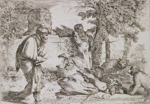 Diogenes söker efter en ärlig man (etsning) av Giovanni Benedetto Castiglione