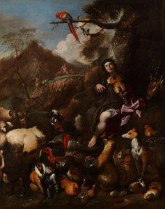 Orfeus sjunger för djuren av Giovanni Benedetto Castiglione